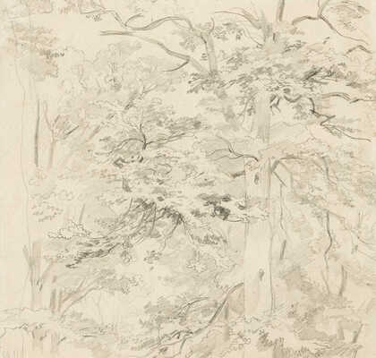 Шишкин Иван Иванович. Дубы (двухсторонняя работа)